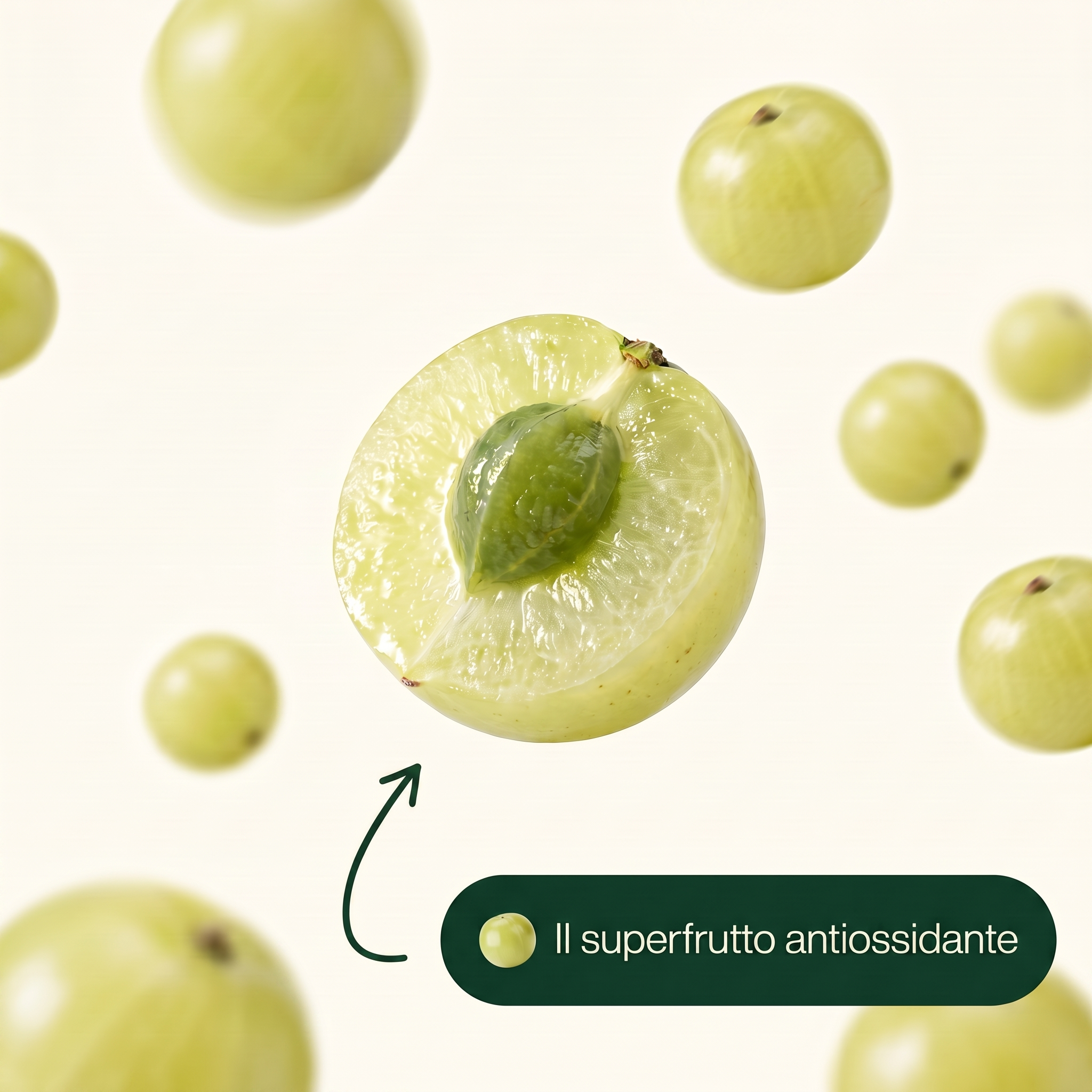 Amla - Antiossidante naturale 1.000 mg