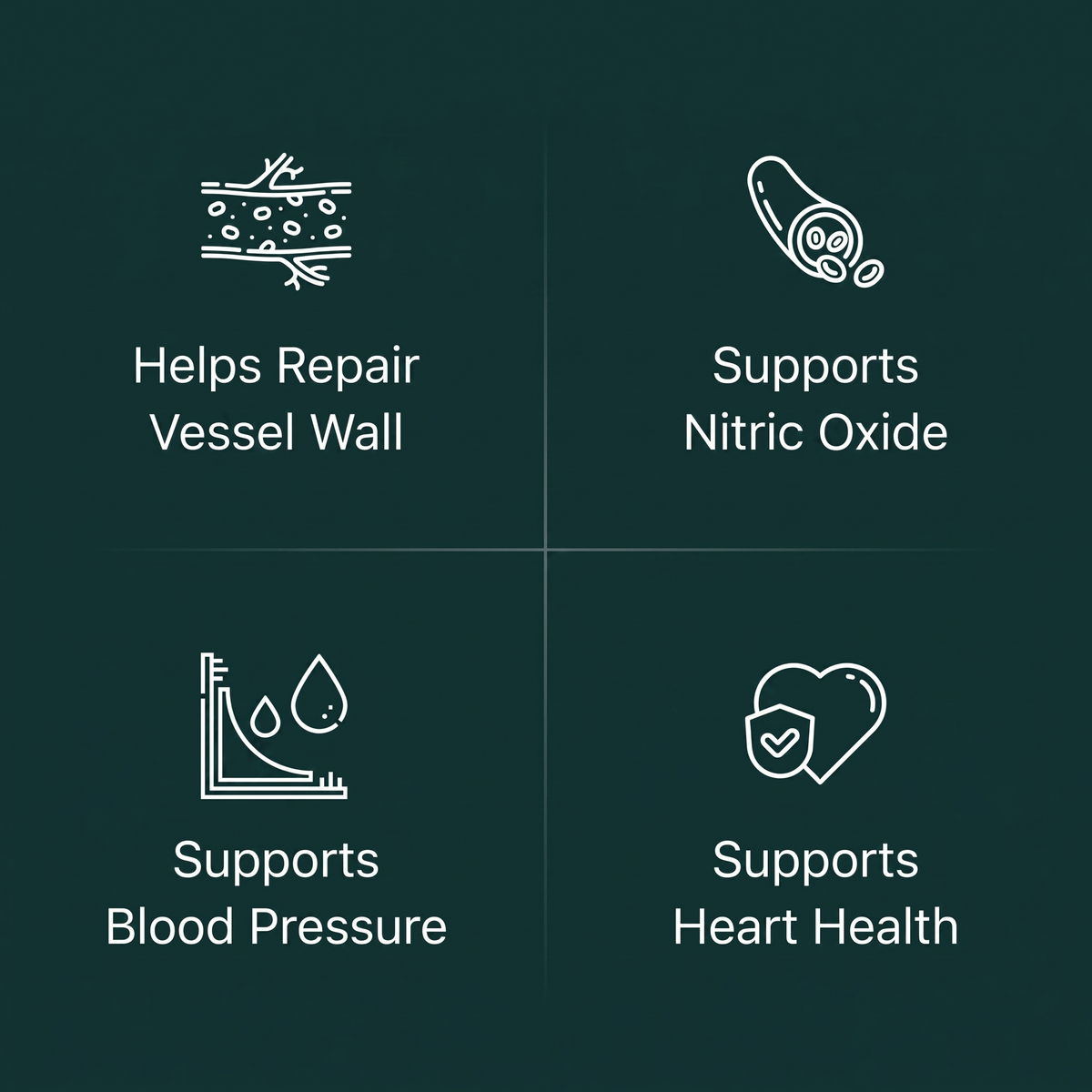 Amla - Blood Pressure Support