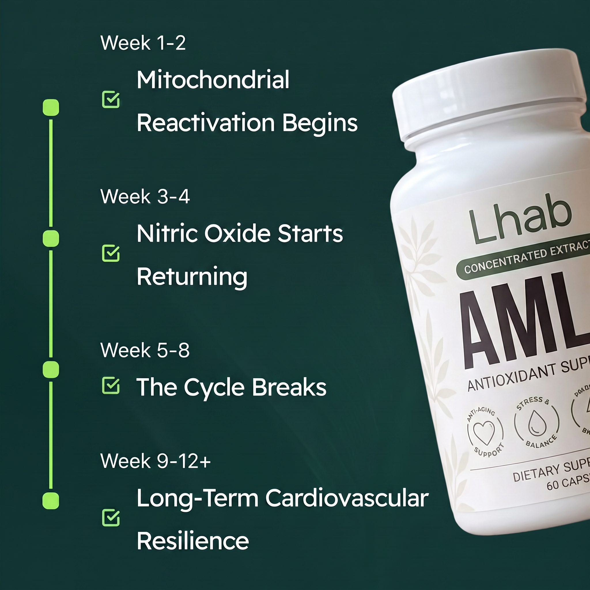 Amla - Blood Pressure Support